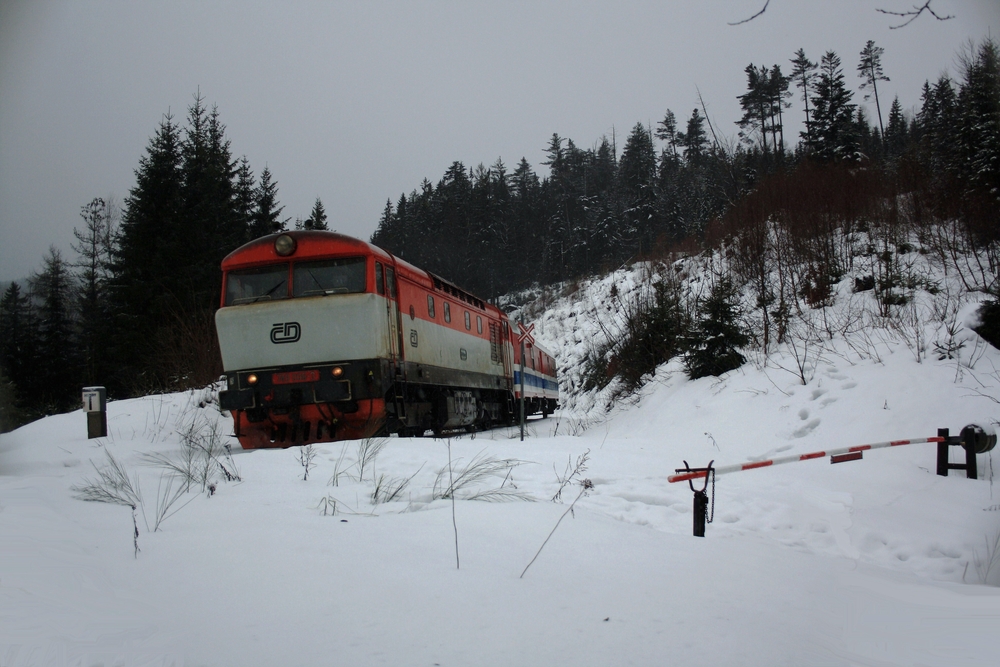 Zelezna Ruda ( Sumava )