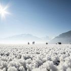 Zell am See, Österreich 