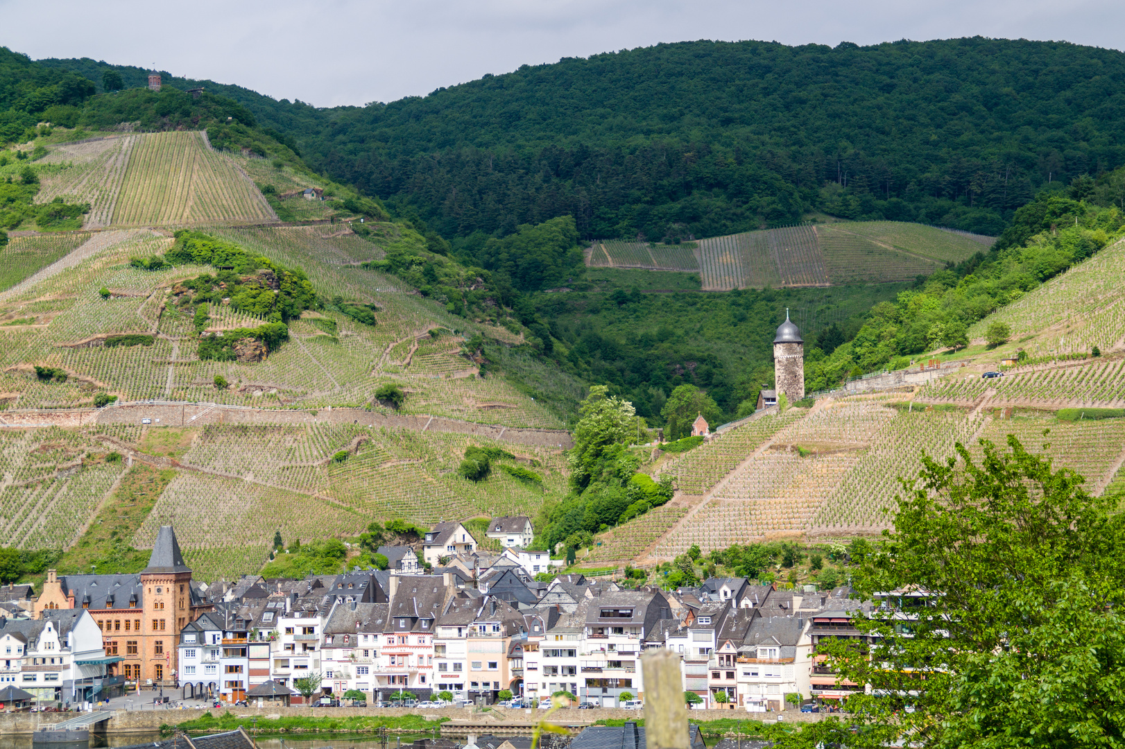 Zell an der Mosel