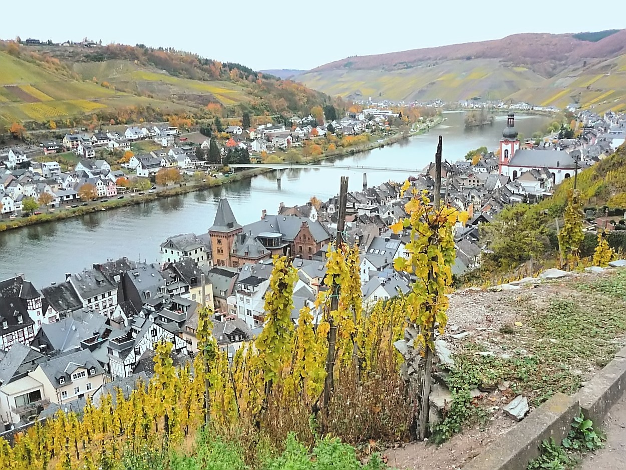 Zell an der Mosel