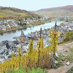 Zell an der Mosel