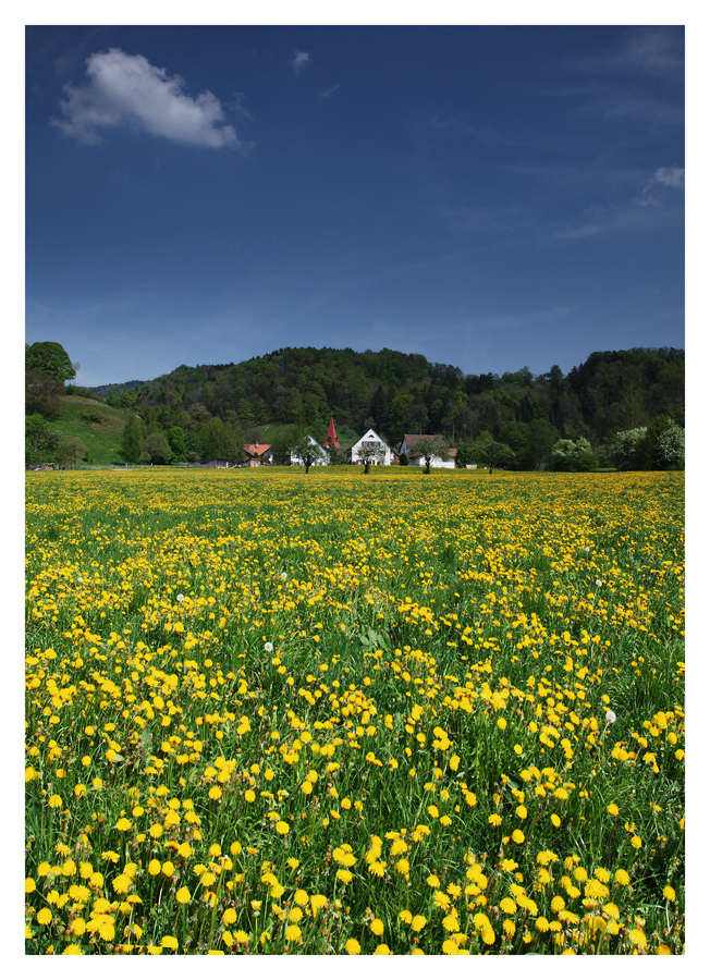 Zell im Züriunterland