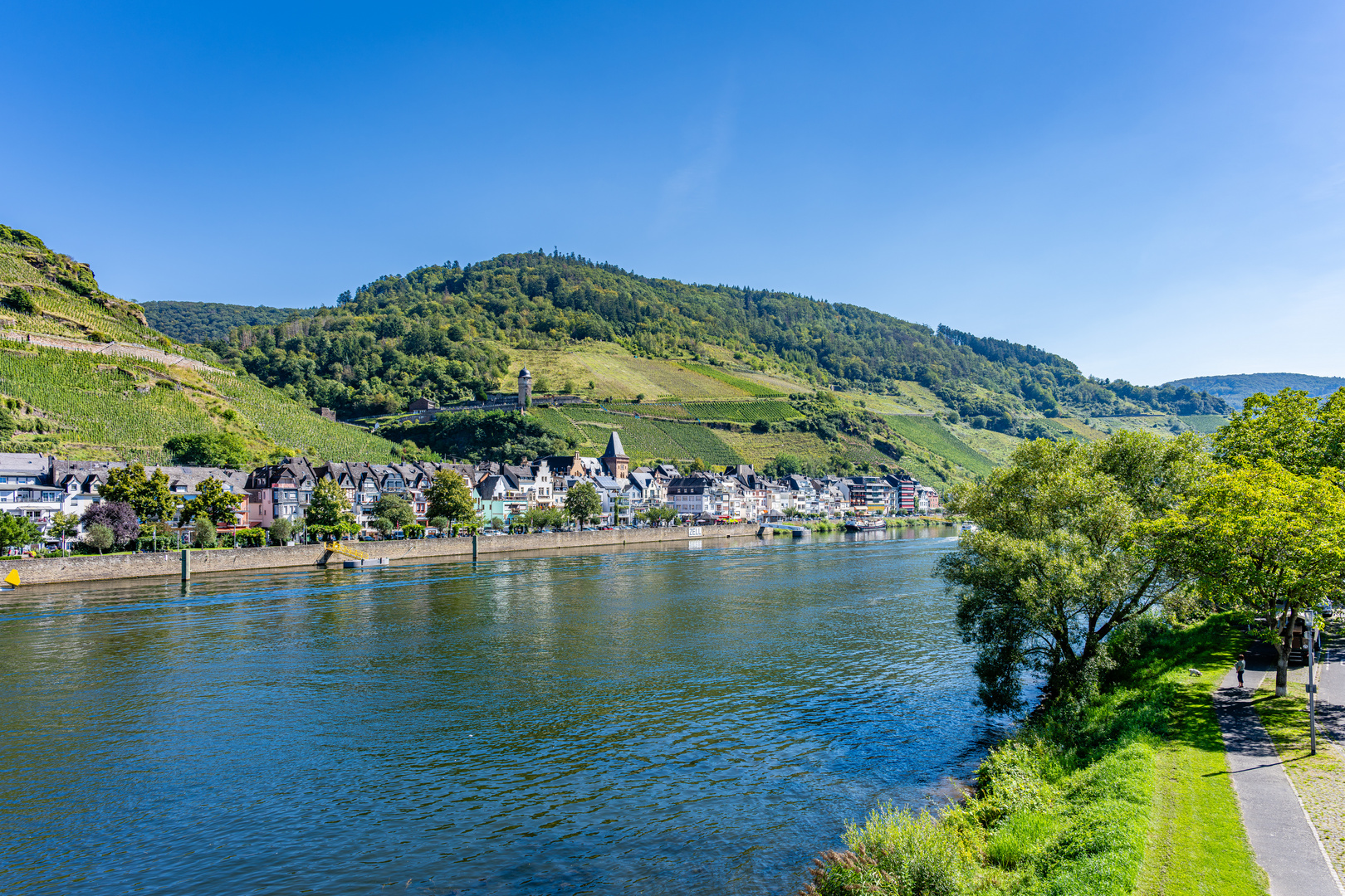 Zell-Mosel 58