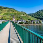 Zell-Mosel 60