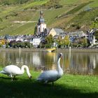 Zell, Mosel...