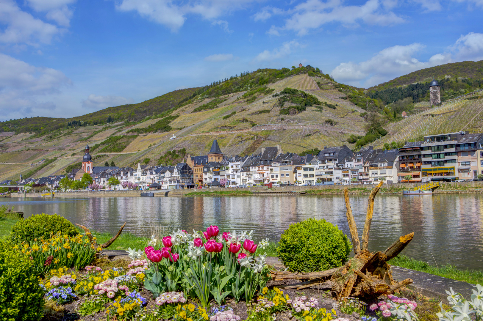 Zell Mosel im Frühling Foto &