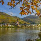 Zell Mosel im Herbst