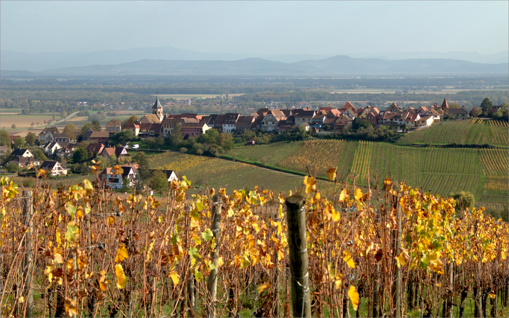 Zellenberg im Elsass