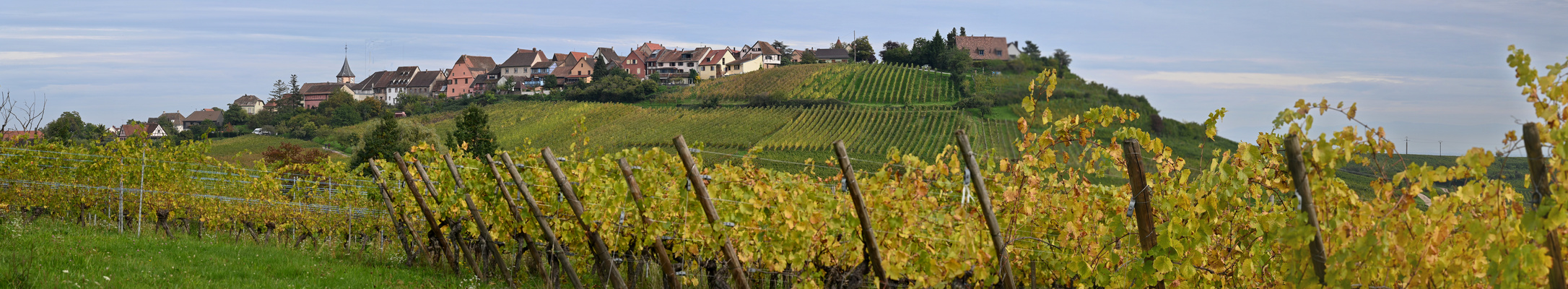 Zellenberg im Elsass