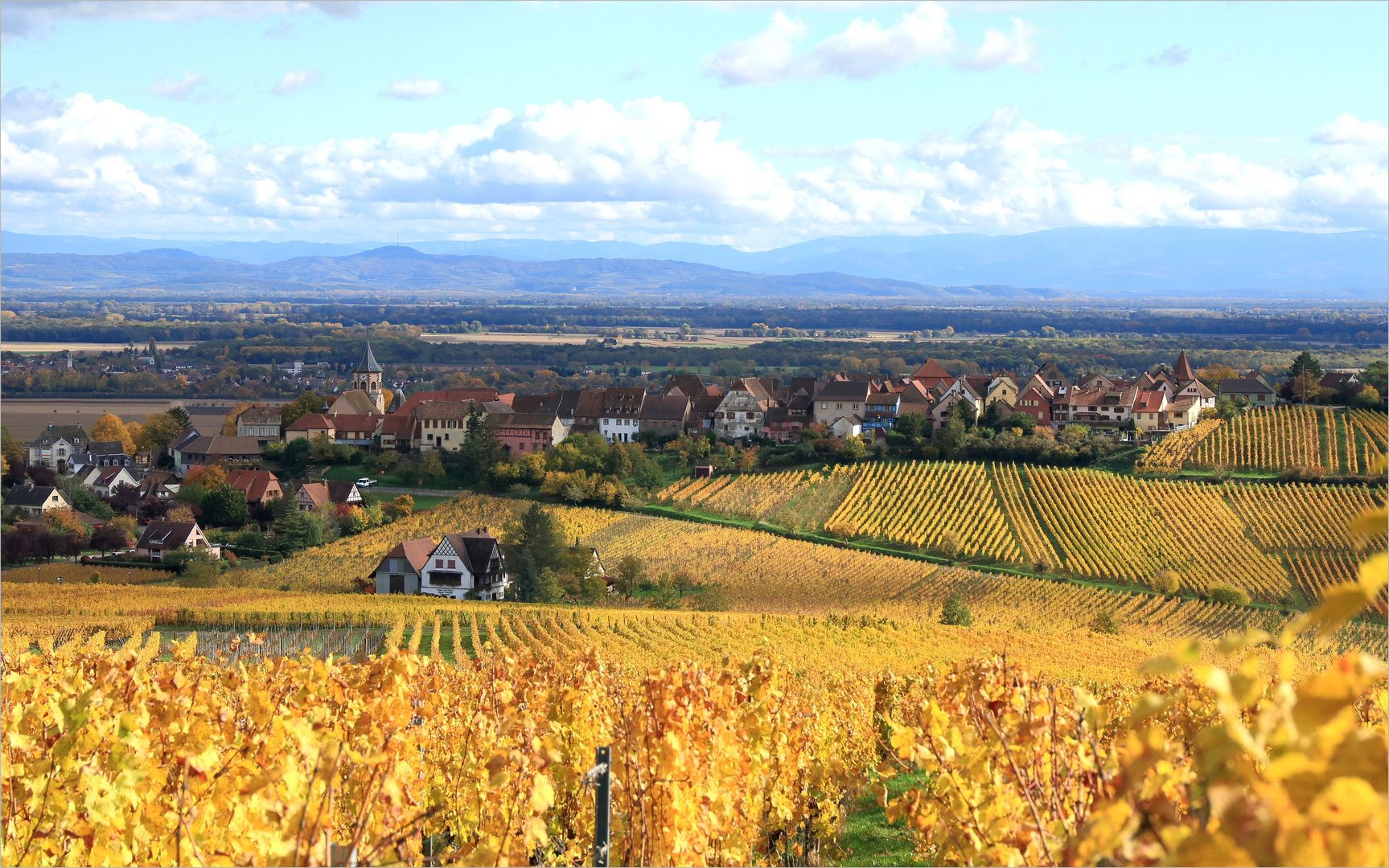 Zellenberg im Elsass