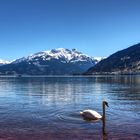 Zeller See bei Zell am See