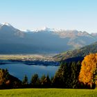 Zellersee am Morgen