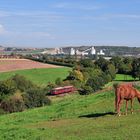 Zellertalaussichten