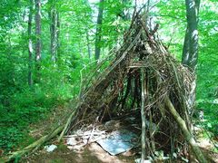 ZELT IM WALD