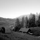 Zelten auf der Alp