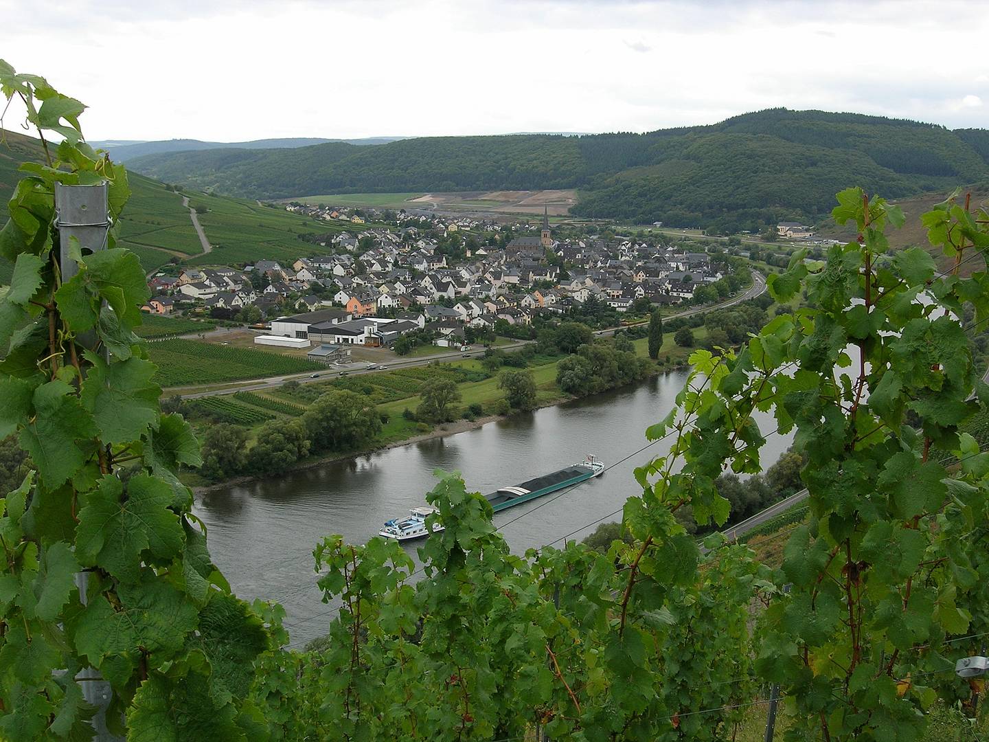 Zeltingen Rachtig Zeltingen Rachtig