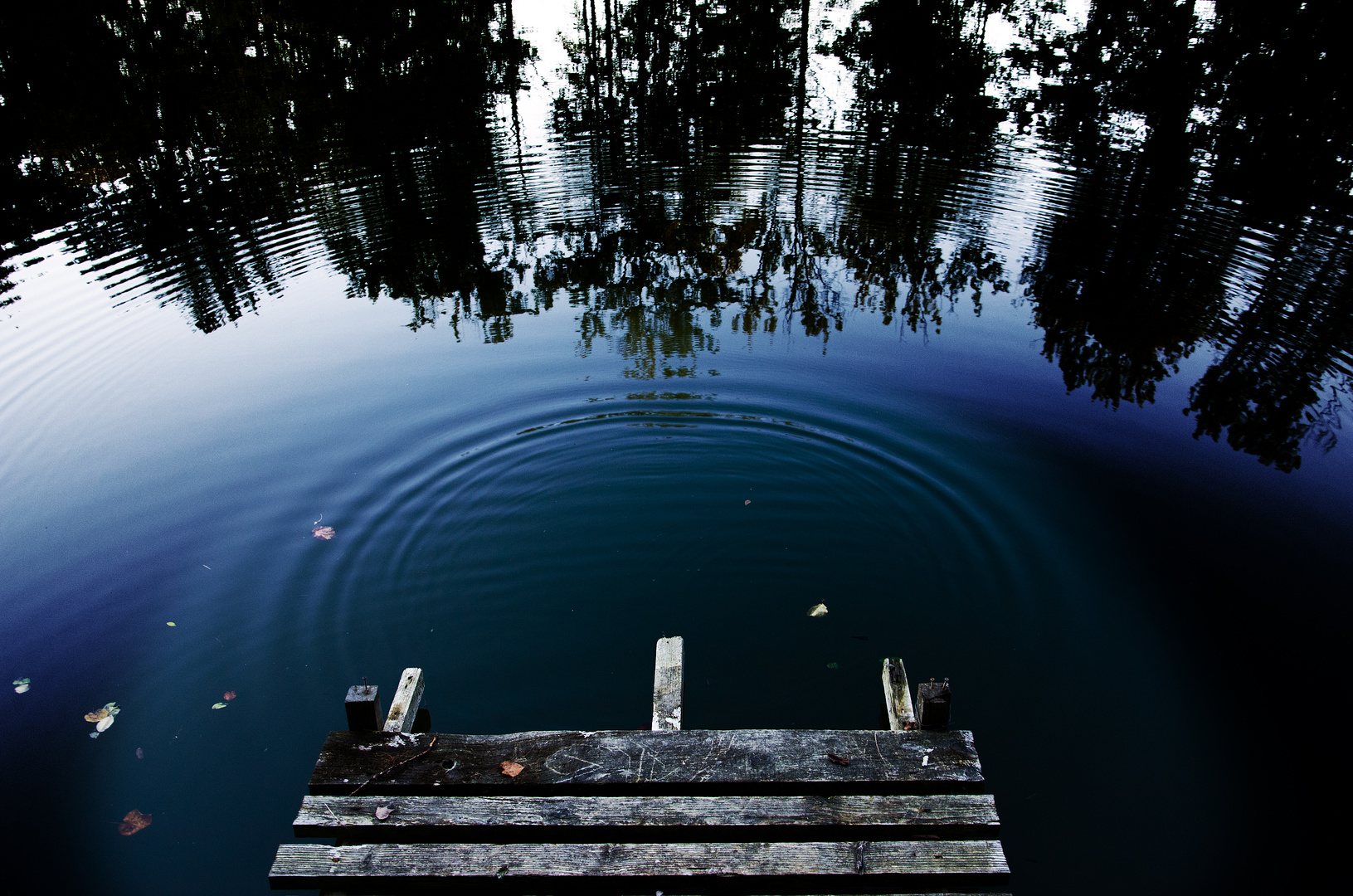 Zen Foto Bild Landschaft Bach Fluss See See Teich Tumpel Bilder Auf Fotocommunity