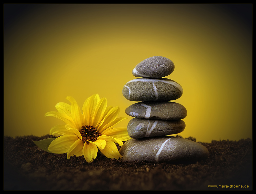 Bilder Zen: Entdecke die Ruhe im Zeichnen!