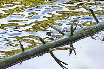 ZEN Foto-Kunst