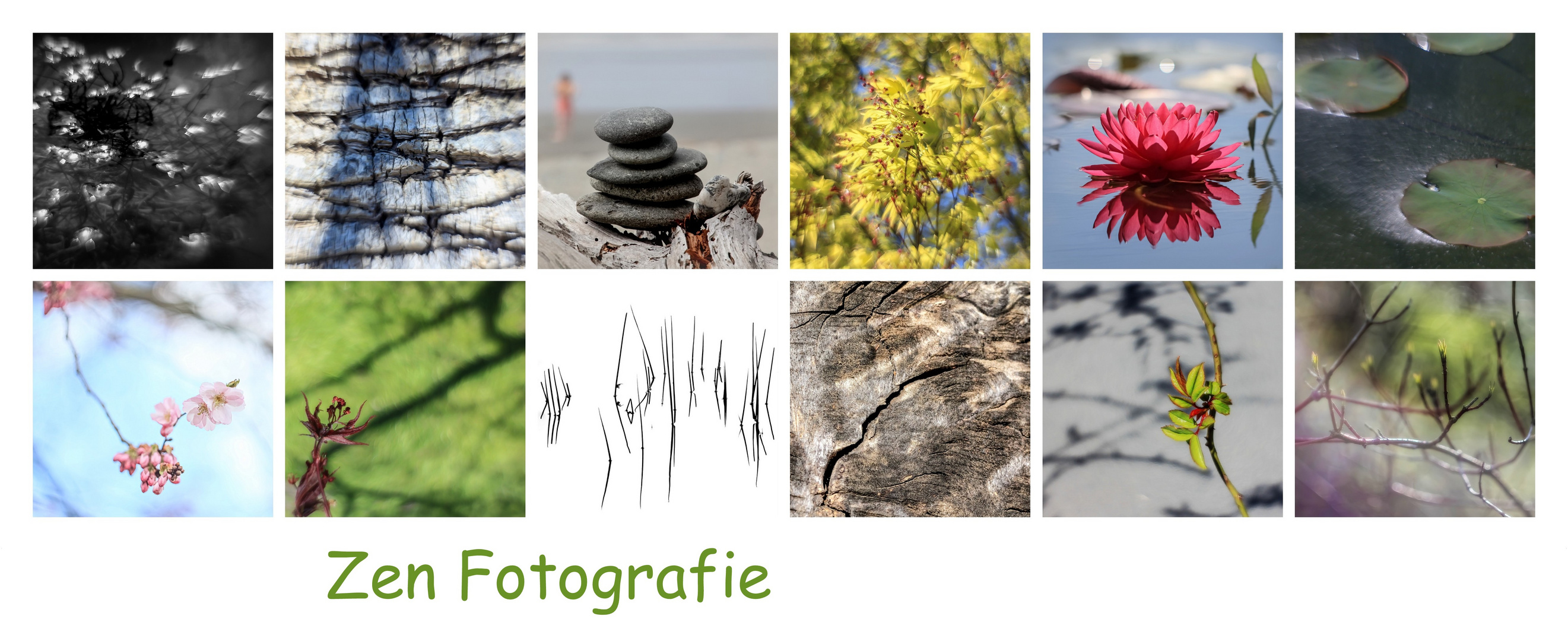 Zen Fotografie 