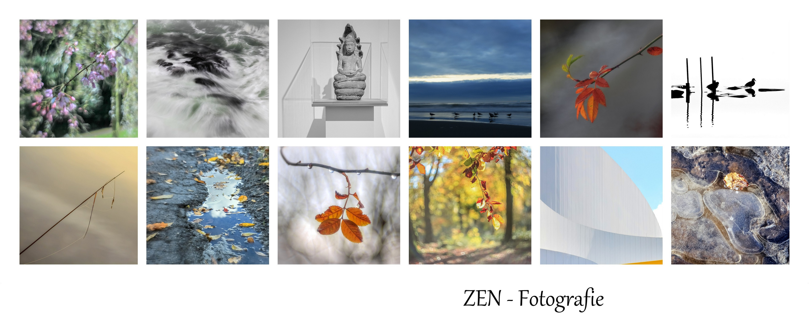 ZEN-Fotografie III