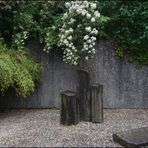 Zen Garten 