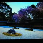 ZEN-Garten