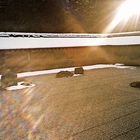 Zen-Garten des Ryoan-ji in Kyoto  (MW 1997/2 - je)