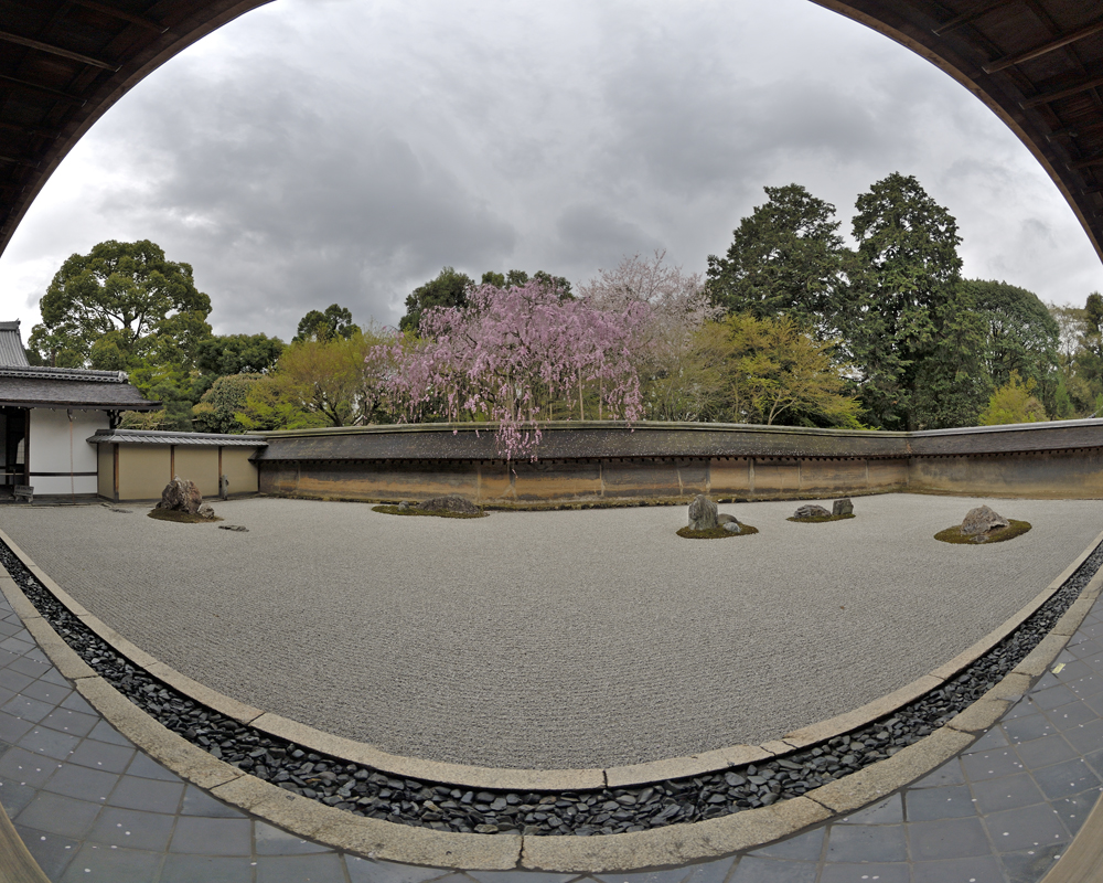 Zen Garten des Ryoan-ji Tempels