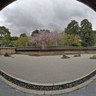 Zen Garten des Ryoan-ji Tempels
