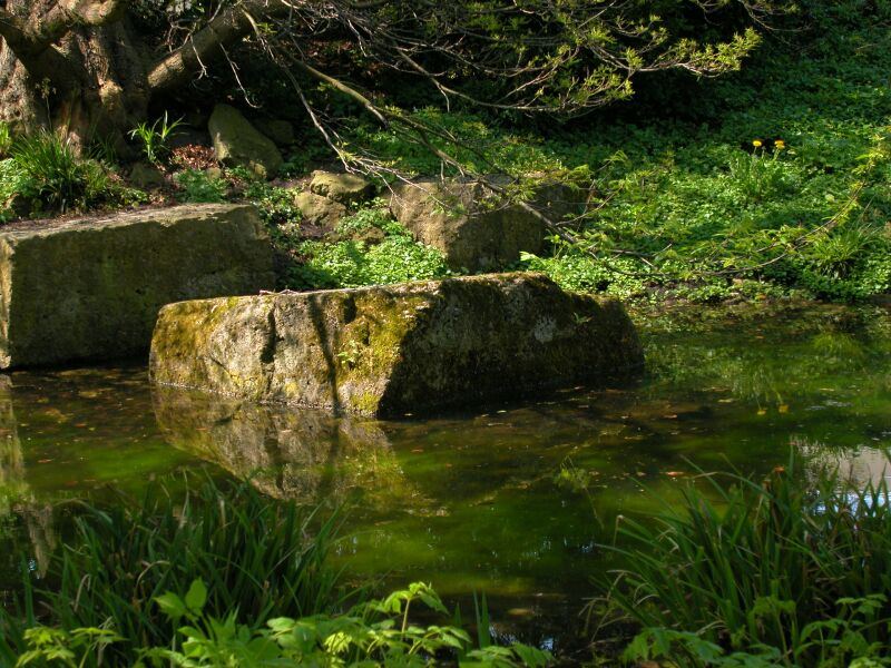 Zen-Garten-Teich