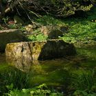 Zen-Garten-Teich