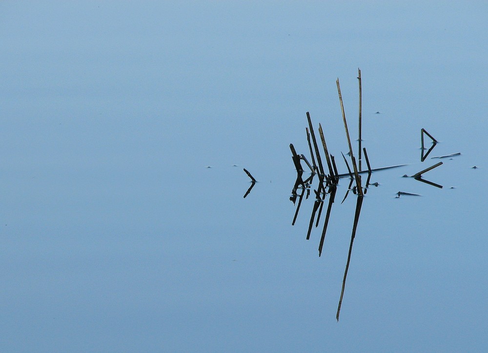 Zen le marais le matin