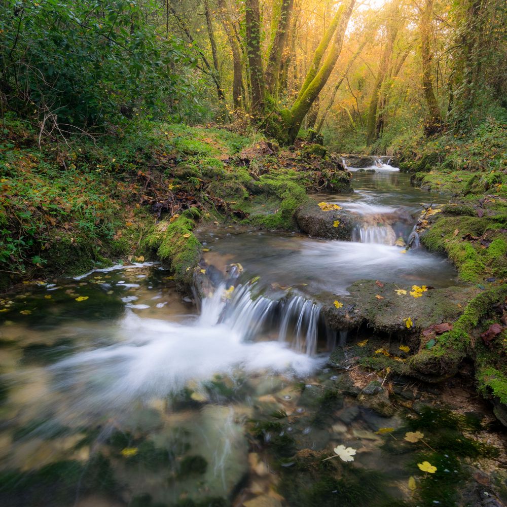 Zen Place Photo Et Image Paysages Lacs Rivieres Cascades Nature Images Fotocommunity