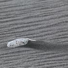 Zen - Stein am Strand