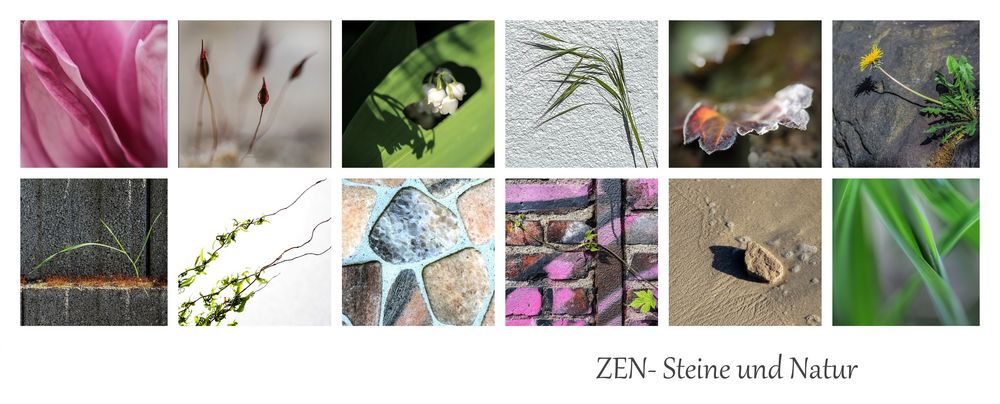 ZEN - Steine und Natur