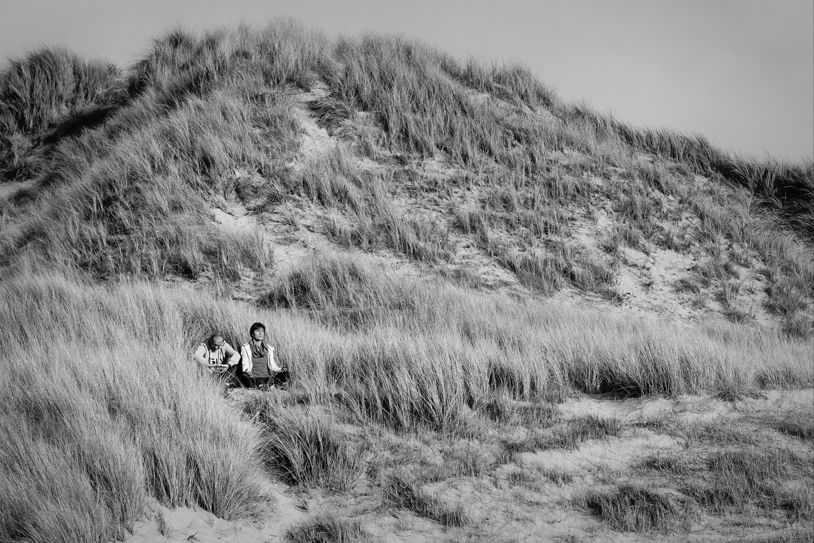 Zénitude dans les dunes