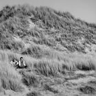 Zénitude dans les dunes