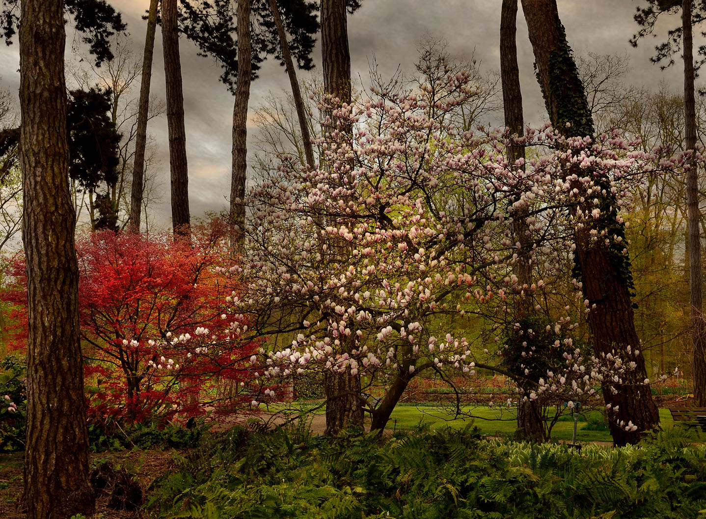 ZENITUDE DE PRINTEMPS