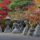 Zenko-ji