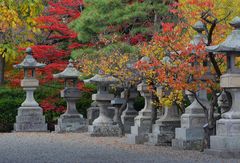 Zenko-ji