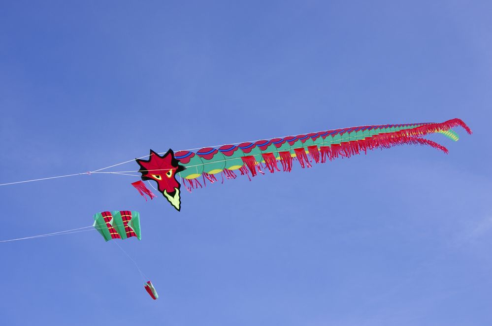 Zentipede by Thomas dem Älteren, Bad Waldsee 2015