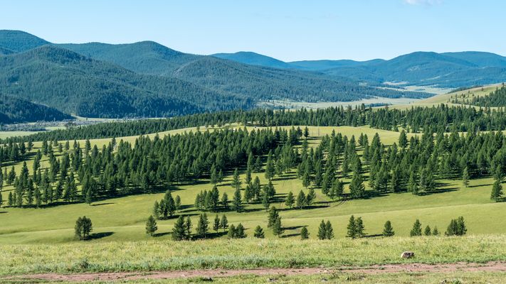 Zentral-Mongolei und Wüste Gobi: im Reich des Dschingis Khan (181)