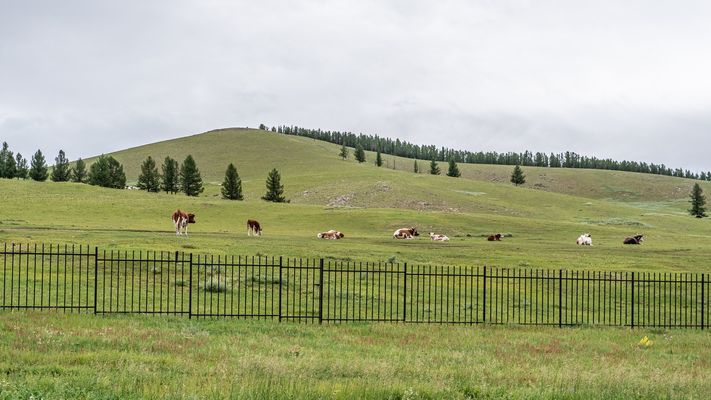 Zentral-Mongolei und Wüste Gobi: im Reich des Dschingis Khan (187)