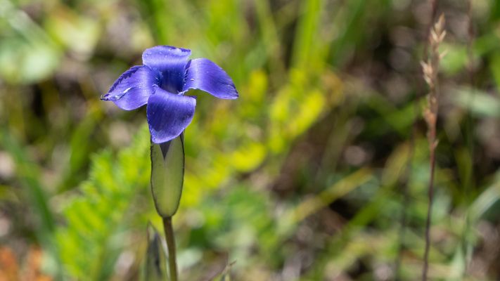 Zentral-Mongolei und Wüste Gobi: im Reich des Dschingis Khan (189)