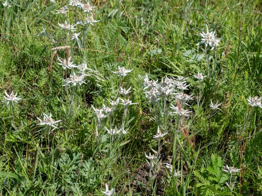 Zentral-Mongolei und Wüste Gobi: im Reich des Dschingis Khan (191)
