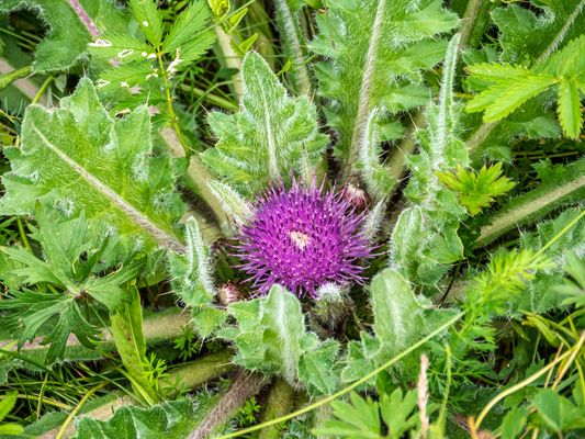 Zentral-Mongolei und Wüste Gobi: im Reich des Dschingis Khan (194)