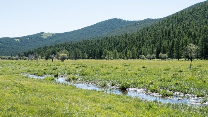 Zentral-Mongolei und Wüste Gobi: im Reich des Dschingis Khan (201)