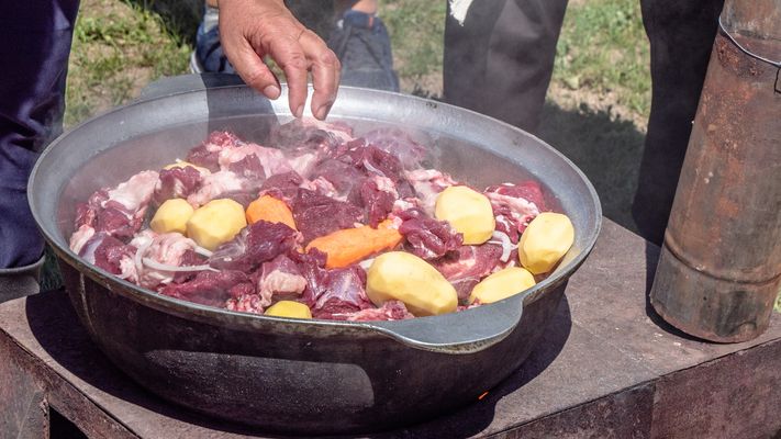 Zentral-Mongolei und Wüste Gobi: im Reich des Dschingis Khan (208)