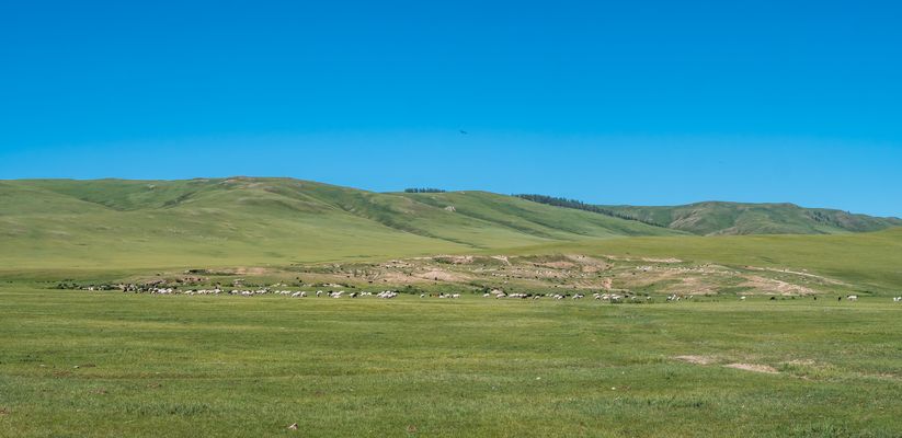 Zentral-Mongolei und Wüste Gobi: im Reich des Dschingis Khan (213)